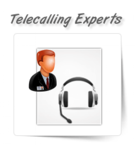 Telecalling Experts